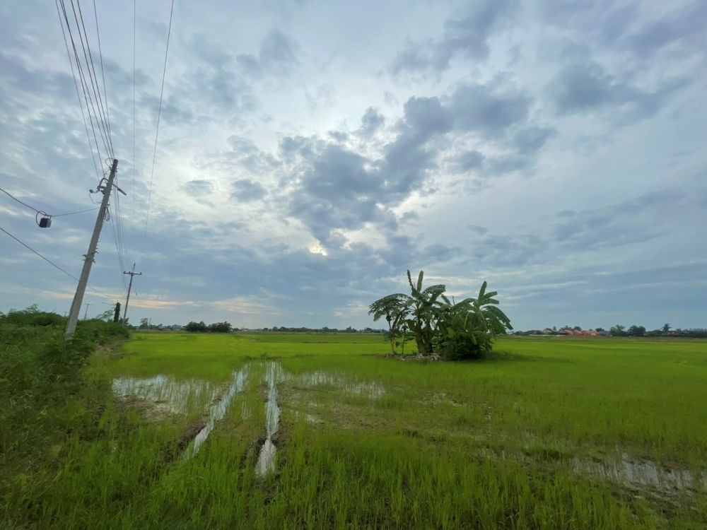 รูป ขายที่ดินเปล่า ขนาด 24 ไร่ ทำเลทอง บรรยากาศร่มรื่น ใกล้แหล่งชุมชน ต.หัวสำโรง ฉะเชิงเทรา - รูปที่ 13/15