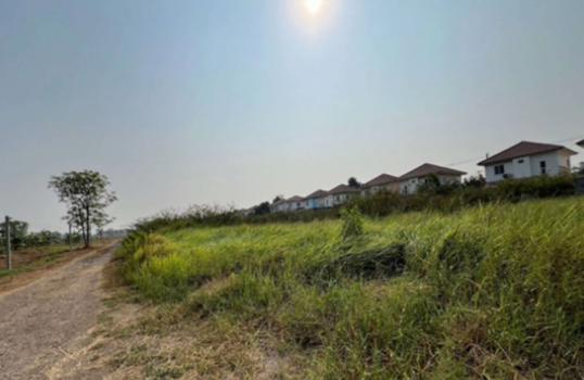 รูป ที่ดินว่างเปล่า สำหรับขาย  บึงคำพร้อย ลำลูกกา ปทุมธานี - รูปที่ 5/8