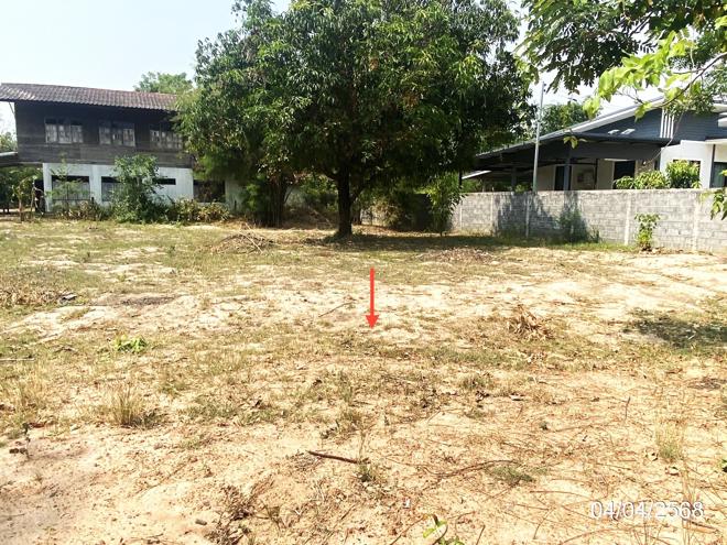 รูป ที่ดินว่างเปล่า สำหรับขาย - หนองใหญ่ โพนทอง ร้อยเอ็ด - รูปที่ 5/24