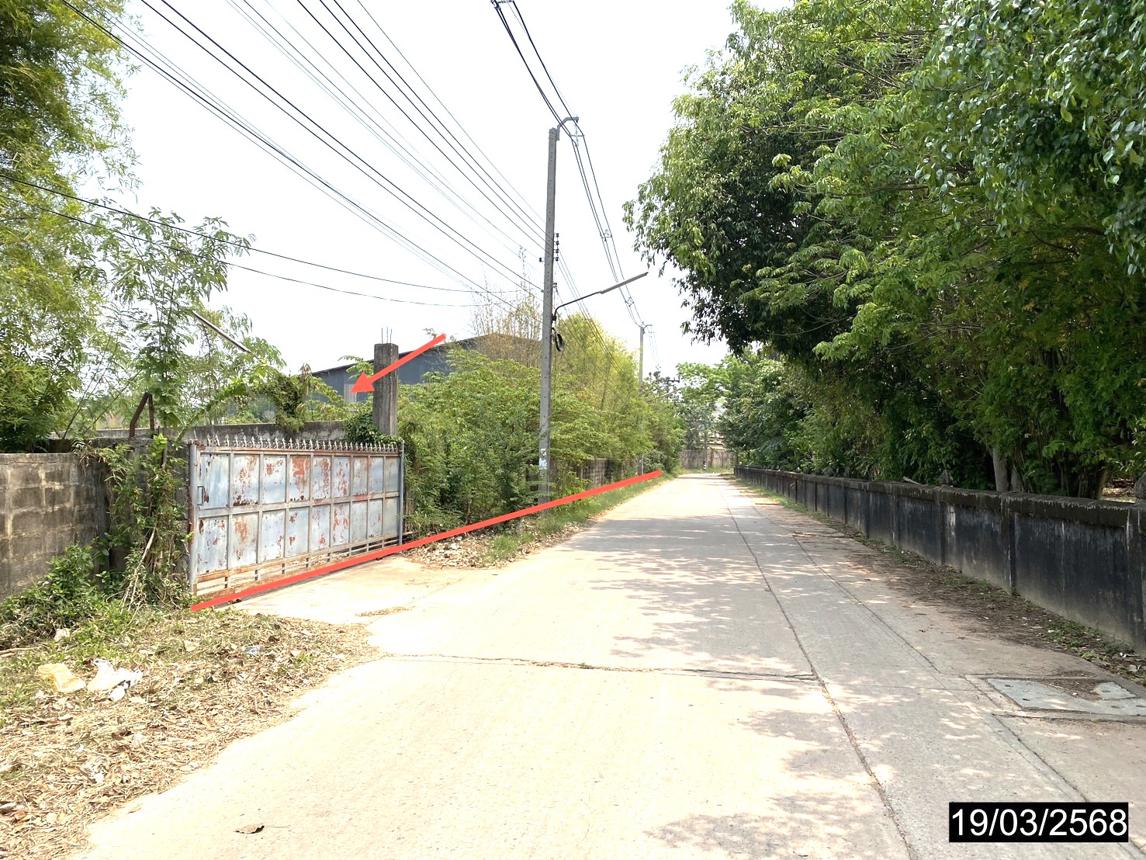 picture LAND for sale  Kalasin Muang Kalasin Kalasin - 10/14