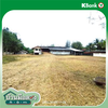 listing thumbnail image 45
