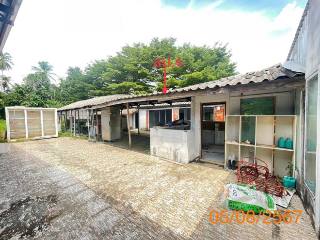 รูป บ้านเดี่ยว สำหรับขาย - คลองท่อมใต้ คลองท่อม กระบี่ - รูปที่ 11/32