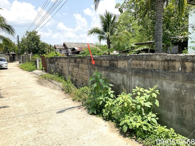 picture HOME for sale  Pa Sang Dok Kham Tai Phayao - 14/32