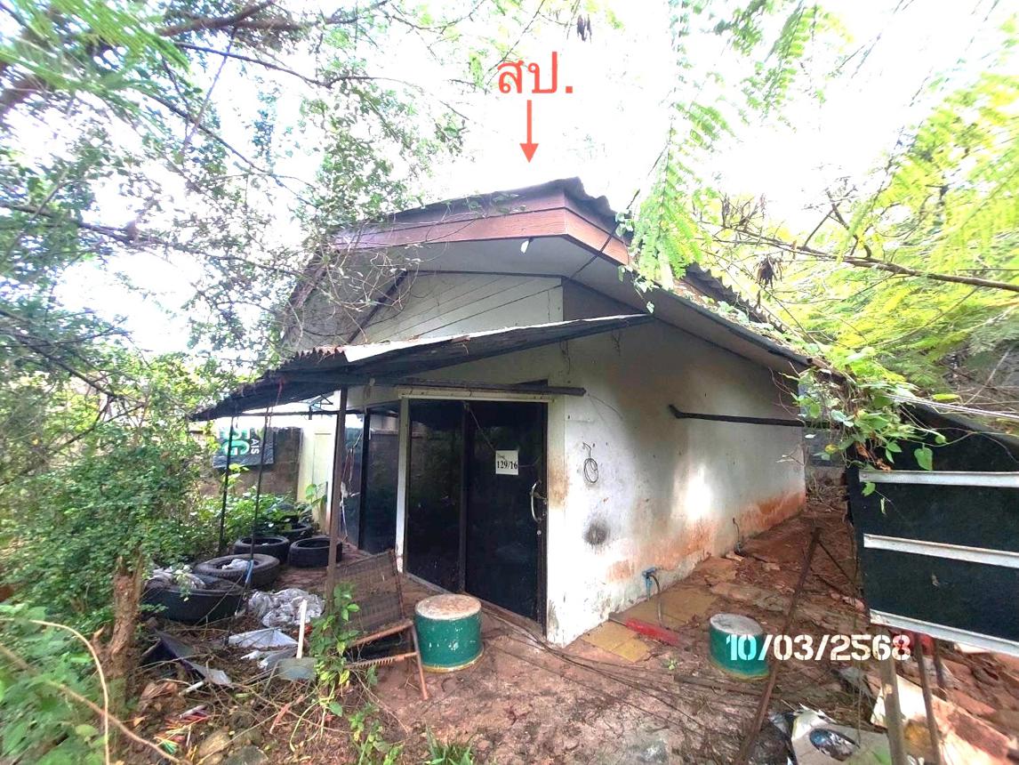 รูป บ้านเดี่ยว สำหรับขาย - วัดประดู่ เมืองสุราษฎร์ธานี สุราษฎร์ธานี - รูปที่ 12/26