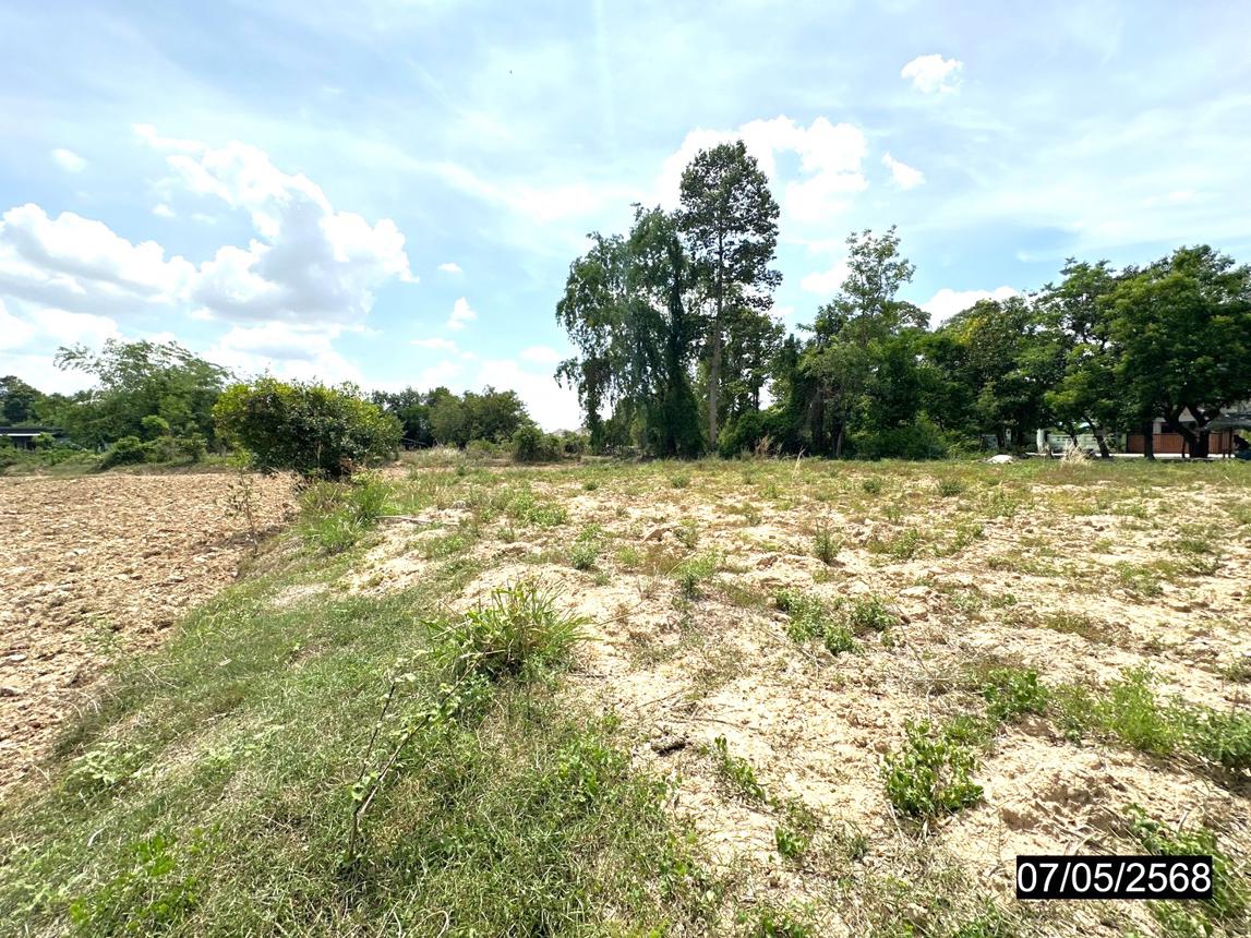 picture LAND for sale  Rop Muang Muang Roi Et Roi Et - 16/20