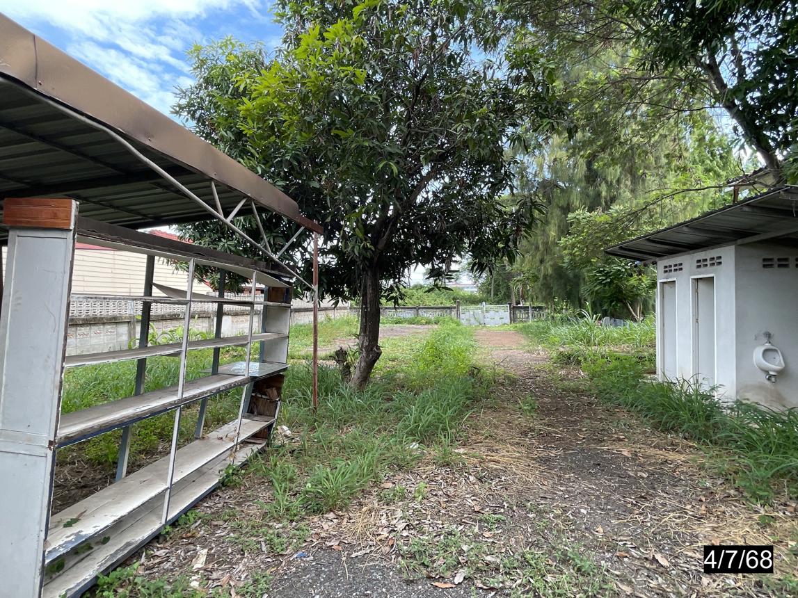 picture HOME for sale  Muang Phon Phon Khon Kaen - 36/42