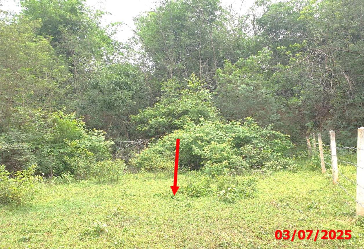 picture LAND for sale  Phichai Muang Lampang Lamphang - 9/14