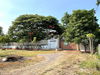 listing thumbnail image 22