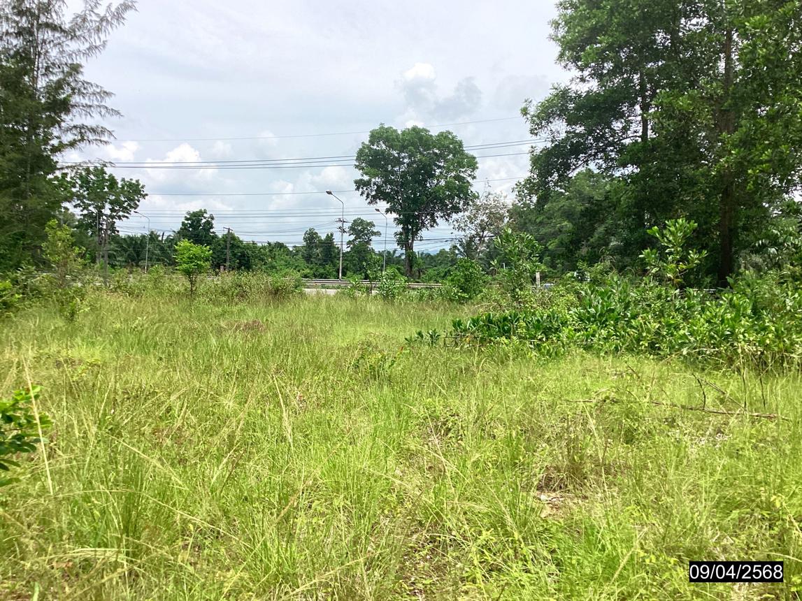 picture LAND for sale  Khron Sawi Chumphon - 13/18