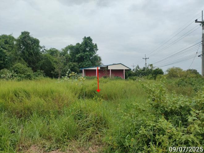 รูป บ้านเดี่ยว สำหรับขาย - หนองไผ่ นาดูน มหาสารคาม - รูปที่ 11/28