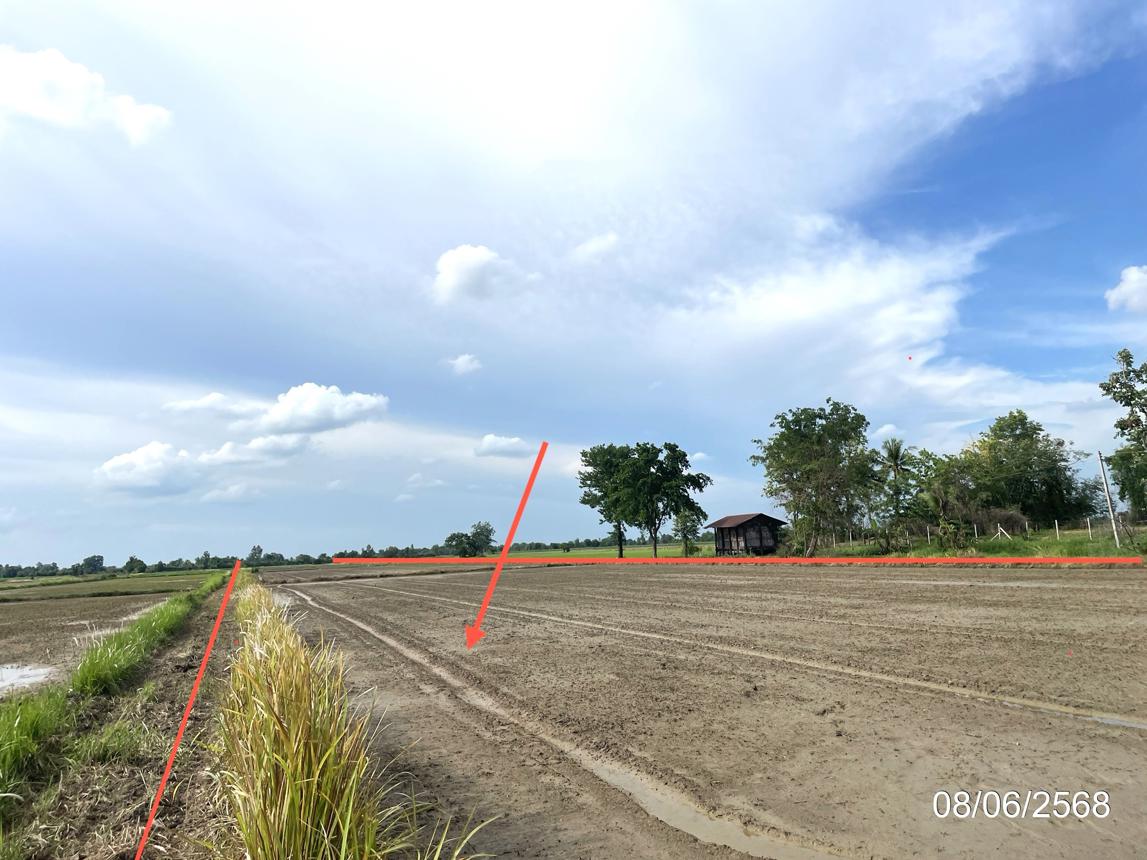 รูป ที่ดินว่างเปล่า สำหรับขาย - โนนพลวง ลานกระบือ กำแพงเพชร - รูปที่ 16/24