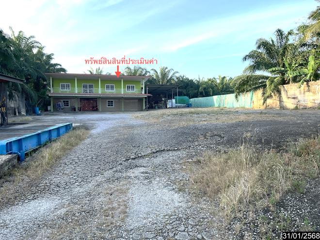 รูป บ้านเดี่ยว สำหรับขาย - วังมะปรางเหนือ วังวิเศษ ตรัง - รูปที่ 9/24