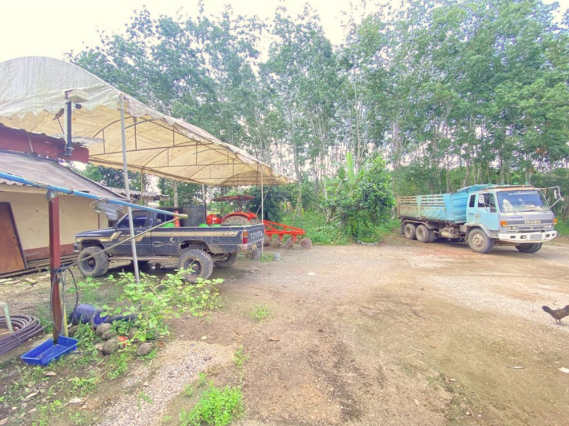 picture HOME for sale  Tha Phaya Palian Trang - 9/14