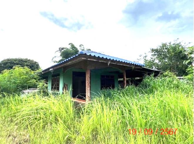 รูป บ้านเดี่ยว สำหรับขาย - ผักปัง ภูเขียว ชัยภูมิ - รูปที่ 13/44