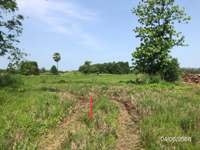 picture LAND for sale  Noen Kum Bang Krathum Phitsanulok - 5/22
