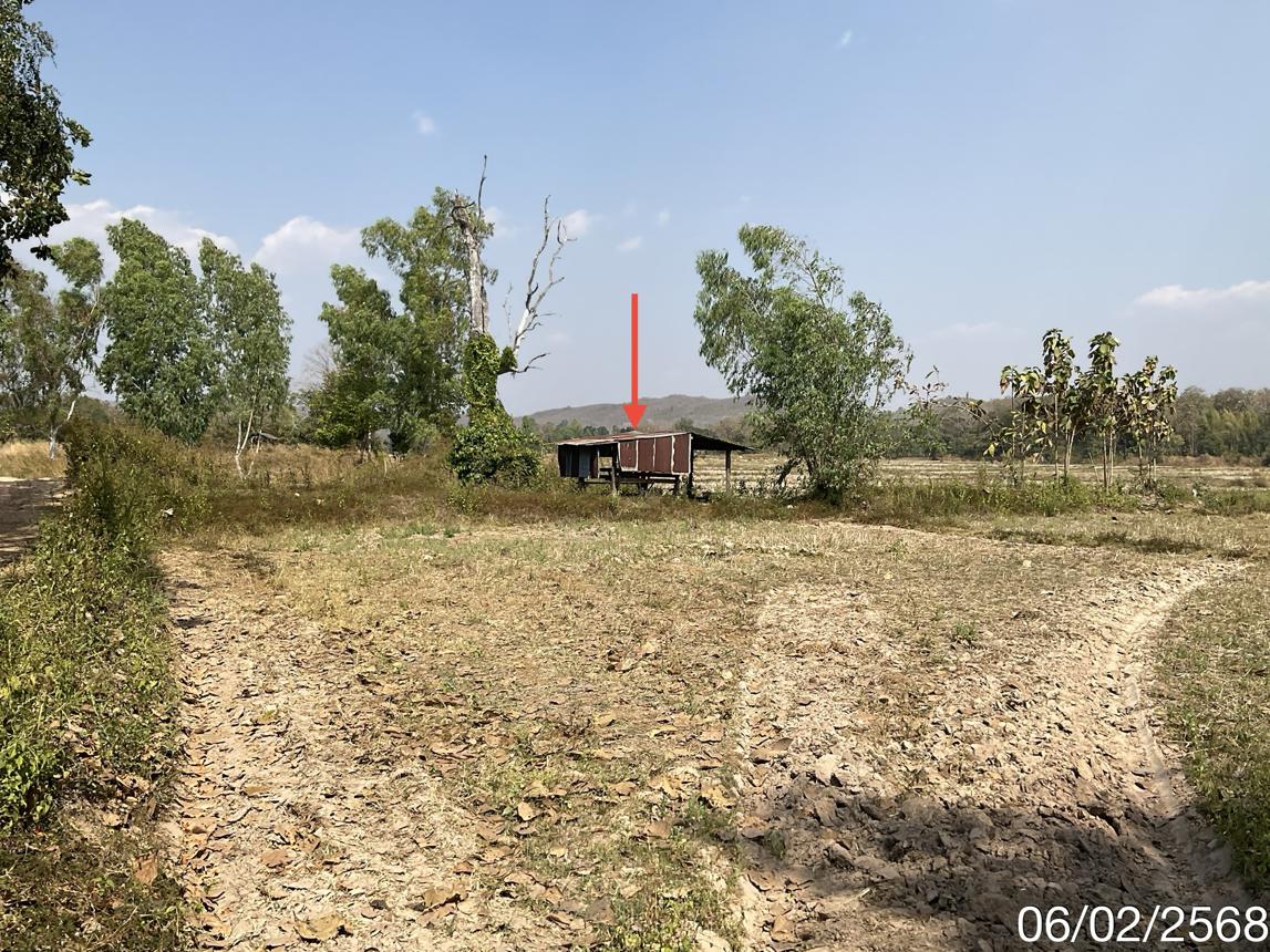 picture LAND for sale  Dong Chen Phu Kam Yao Phayao - 10/18