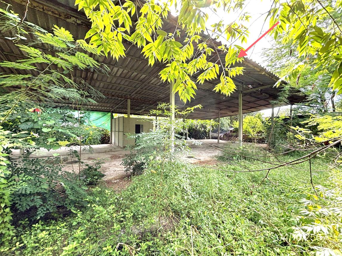 picture HOME for sale  Don Kruai Damnoen Saduak Ratchburi - 32/40