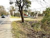 listing thumbnail image 36