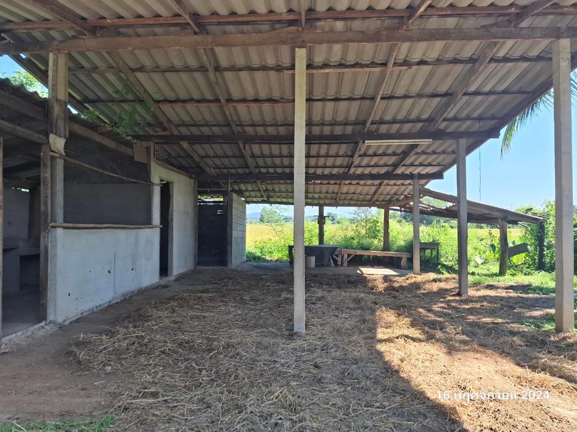 picture HOME for sale  Tha Cham Pi Muang Phayao Phayao - 25/46