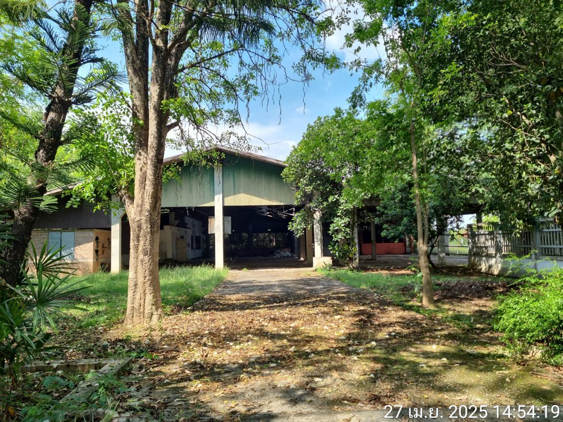 รูป บ้านเดี่ยว สำหรับขาย - น้ำดิบ ป่าซาง ลำพูน - รูปที่ 21/42