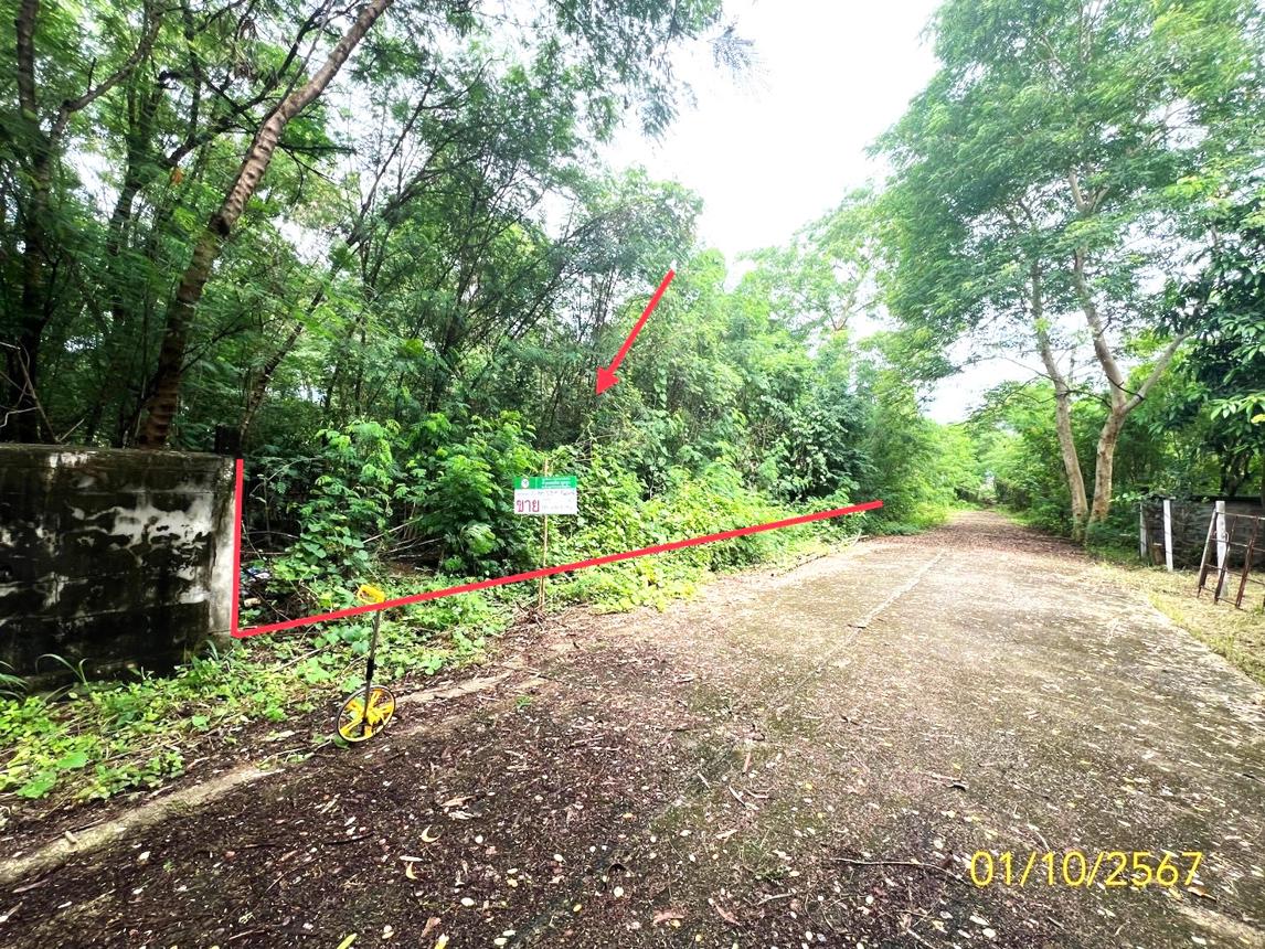 รูป ที่ดินว่างเปล่า สำหรับขาย - รังสิต ธัญบุรี ปทุมธานี - รูปที่ 9/18