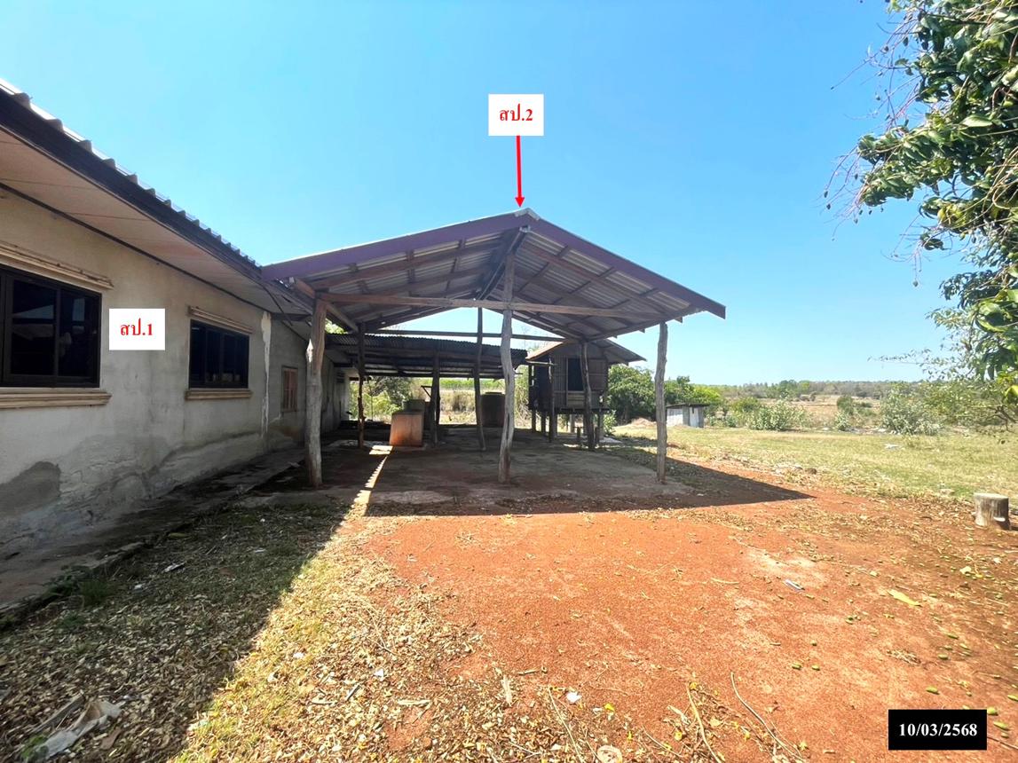 รูป บ้านเดี่ยว สำหรับขาย - ปทุมวาปี ส่องดาว สกลนคร - รูปที่ 29/44