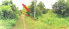 listing thumbnail image 30