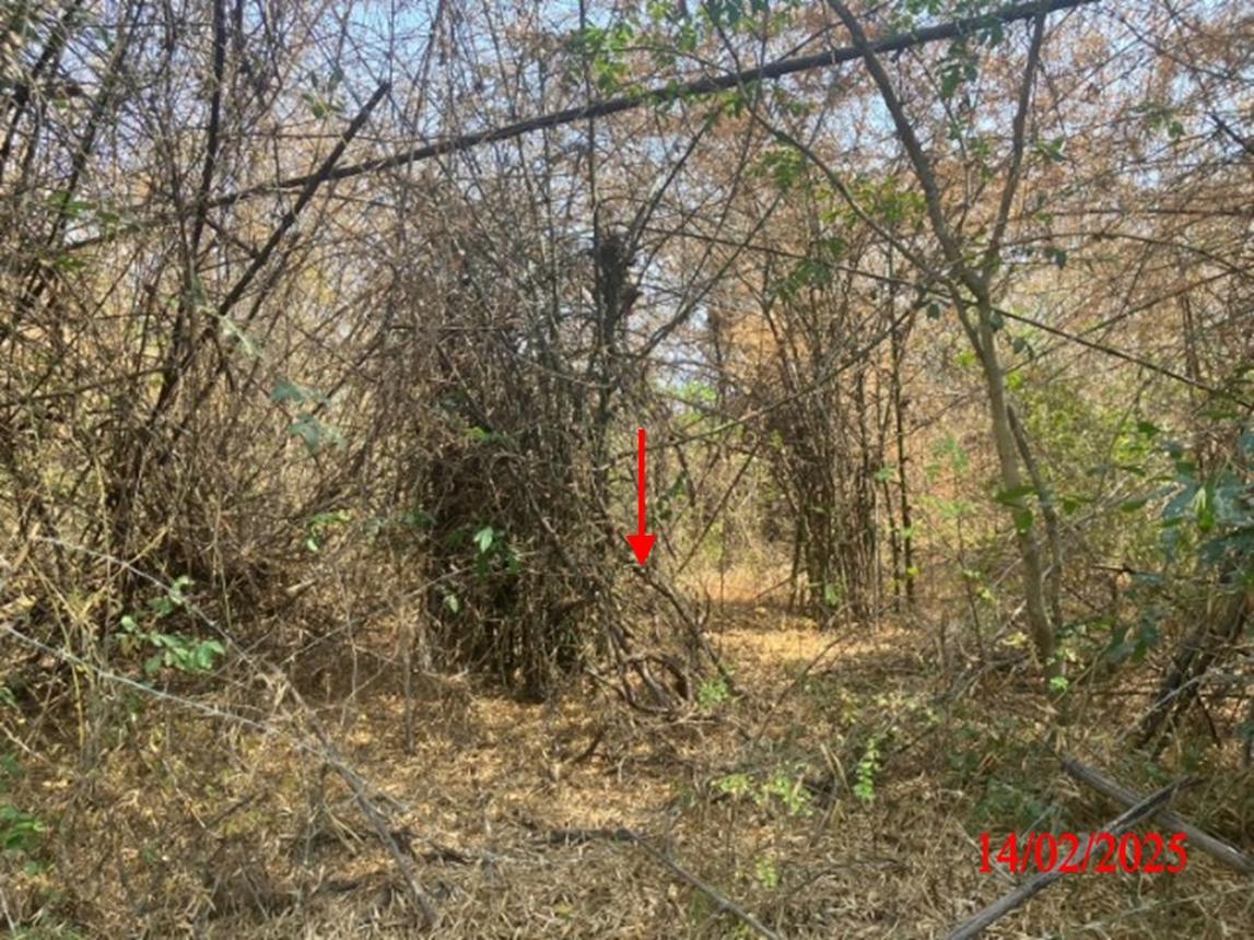 picture LAND for sale  Phichai Muang Lampang Lamphang - 16/24