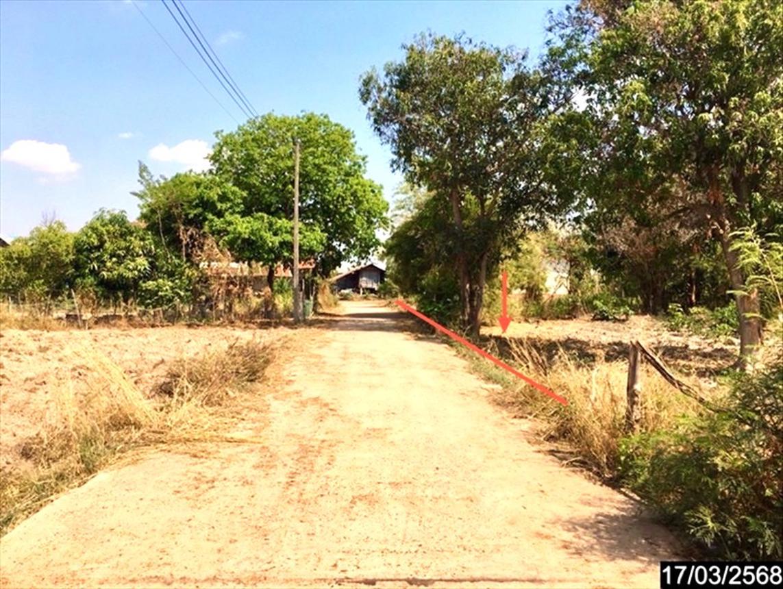 picture LAND for sale  Kung Kao Tha Khan Tho Kalasin - 16/22