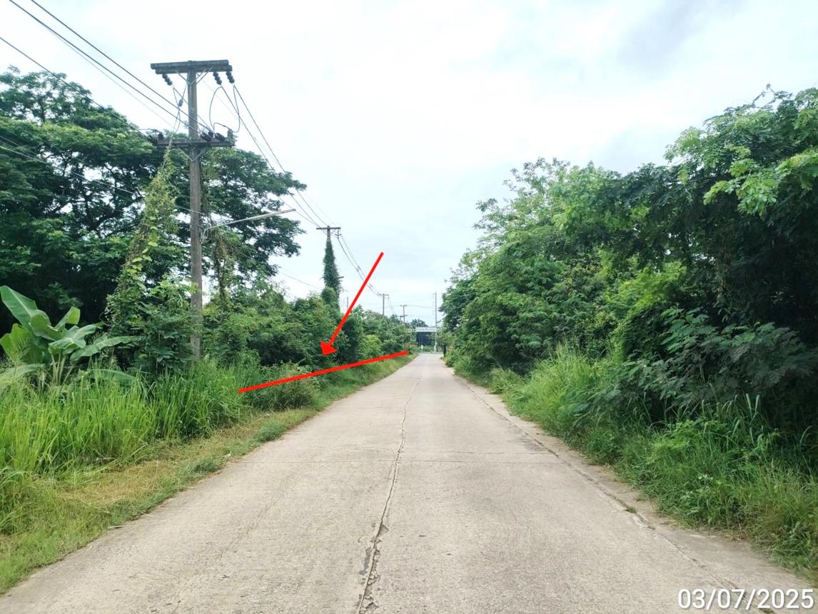 picture LAND for sale  Ku Thong Chiang Yun Maha Sarakham - 14/18