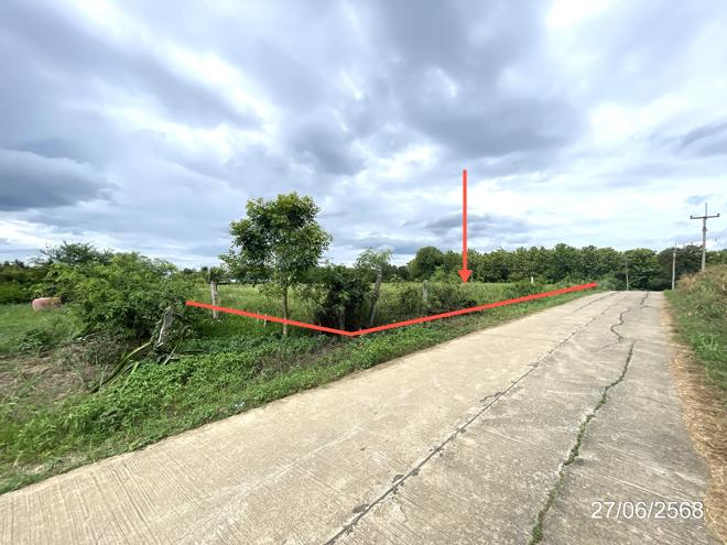รูป ที่ดินว่างเปล่า สำหรับขาย - วังชมภู เมืองเพชรบูรณ์ เพชรบูรณ์ - รูปที่ 5/24