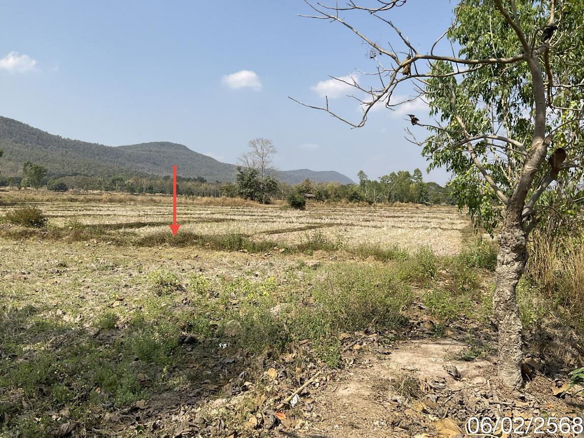 picture LAND for sale  Dong Chen Phu Kam Yao Phayao - 12/18