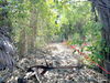 listing thumbnail image 10