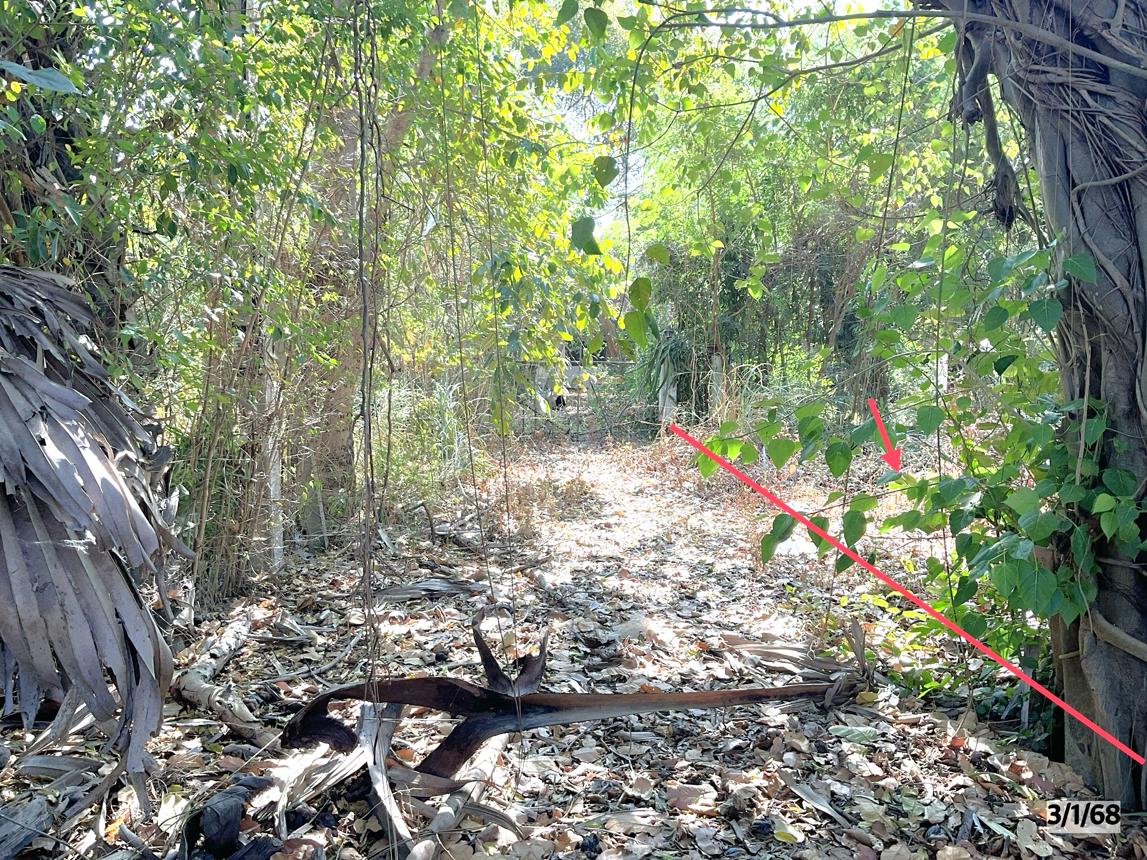 รูป ที่ดินว่างเปล่า สำหรับขาย - กาฬสินธุ์ เมืองกาฬสินธุ์ กาฬสินธุ์ - รูปที่ 11/18