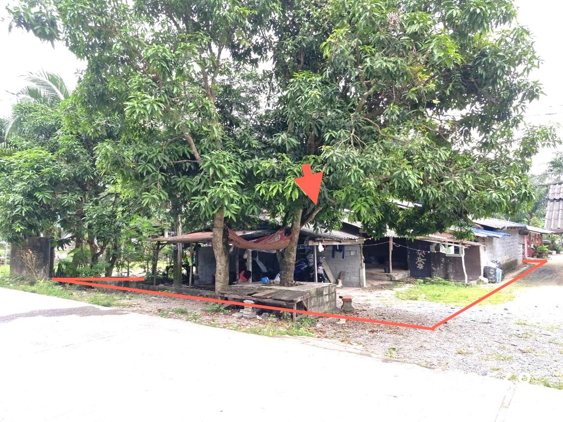 picture HOME for sale  Don Tro Chalermphrakiet Nakhon Sri Thammarat - 11/24
