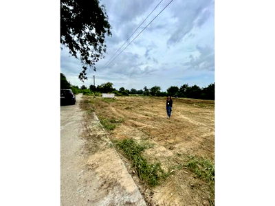 Land for sale Muang Nakhon Sawan Nakhon Sawan : Urgent sale of land 1-2-17 rai, whole plot 1,800,000 baht, Nong Kradon, Nakhon Sawan Province