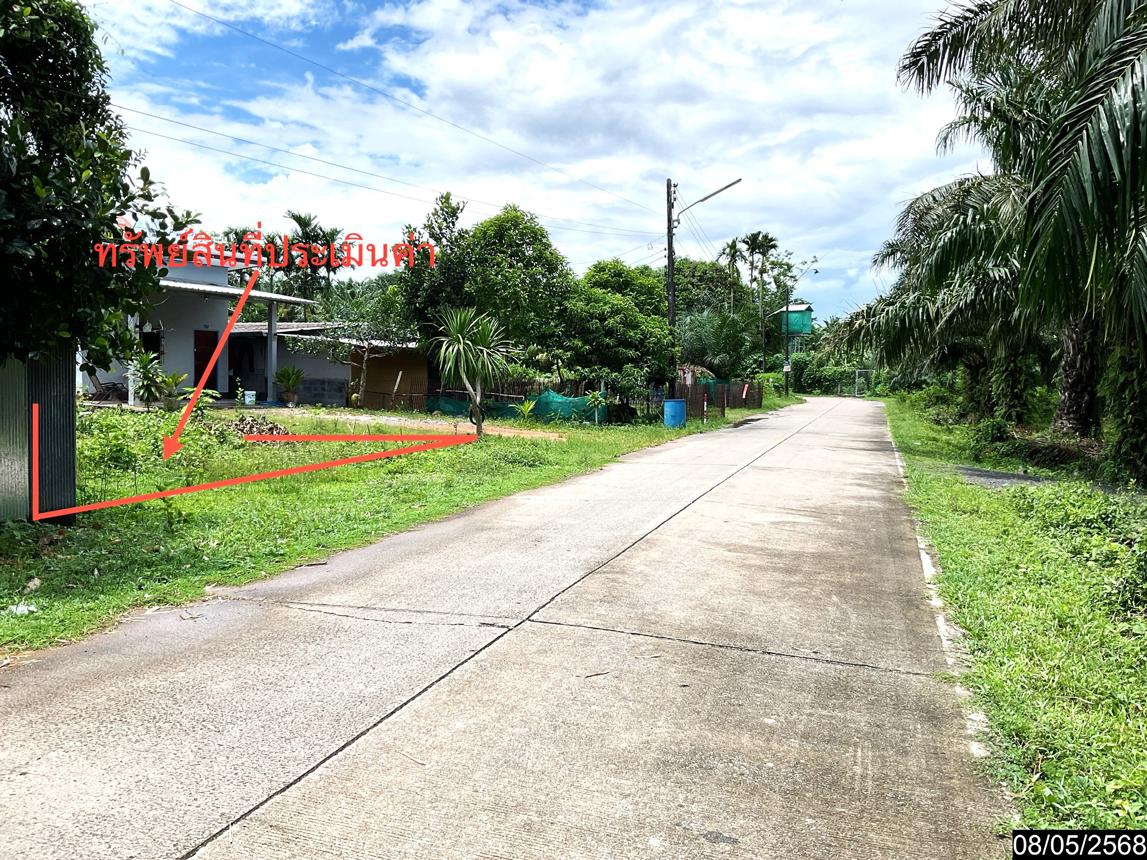 รูป ที่ดินว่างเปล่า สำหรับขาย - โคกหล่อ เมืองตรัง ตรัง - รูปที่ 9/14