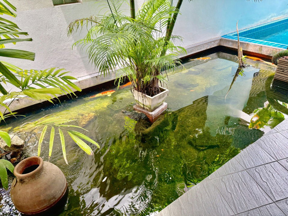 picture Apartment for Sale "Baan Sasida" 4 Buildings Sukhumvit 24 - 5/41