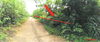 listing thumbnail image 20
