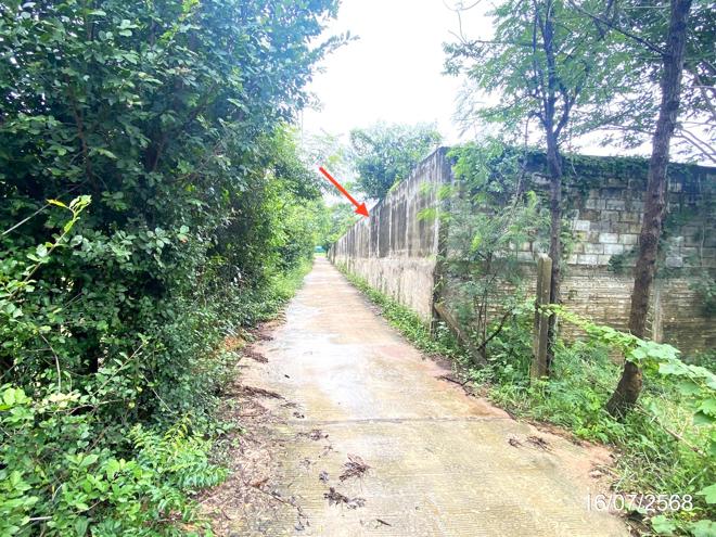 picture LAND for sale  Huai Mek Huai Mek Kalasin - 4/16