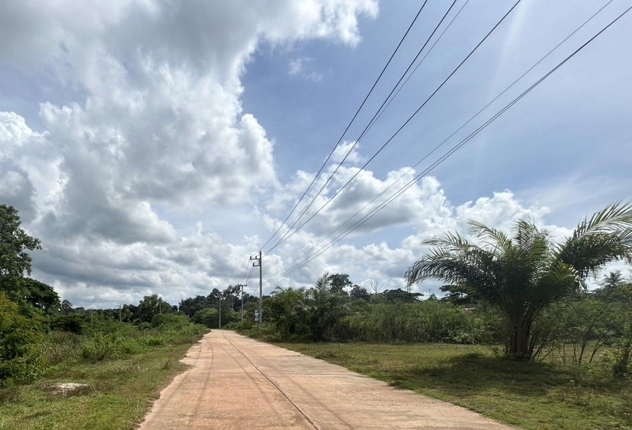 picture LAND for sale  Nong Yat Muang Nakhon Phanom Nakhon Phanom - 6/12