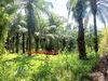 listing thumbnail image 6