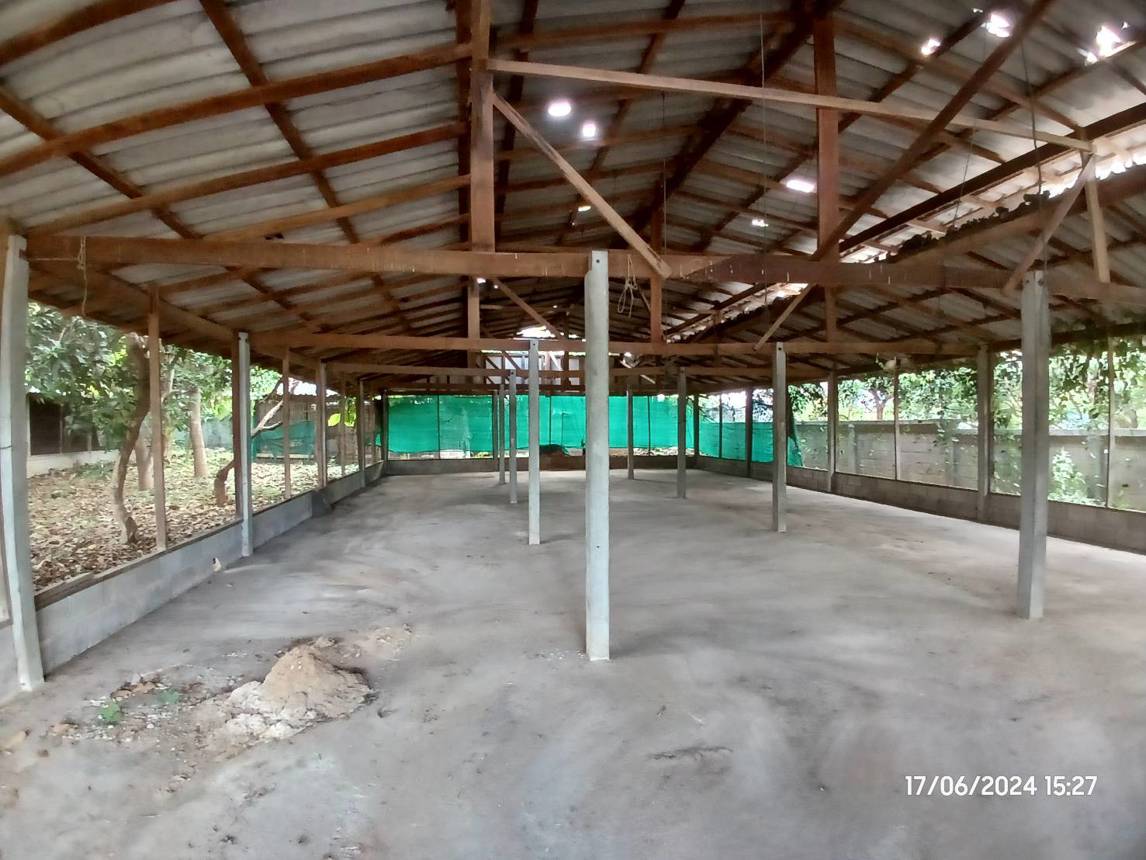 รูป โกดัง สำหรับขาย - วังผาง เวียงหนองล่อง ลำพูน - รูปที่ 21/26