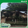 listing thumbnail image 19