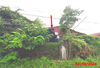 listing thumbnail image 24