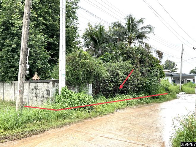 รูป บ้านเดี่ยว สำหรับขาย - บ้านเป็ด เมืองขอนแก่น ขอนแก่น - รูปที่ 9/24