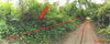 listing thumbnail image 29