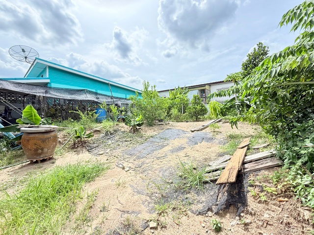 รูป ขายที่ดิน ทวีวัฒนา กาญจนาภิเษก 22  ถมสูง รั้วคอนกรีต 63 ตรว.พร้อมสร้างบ้าน เข้าซอย 100 เมตร - รูปที่ 5/9