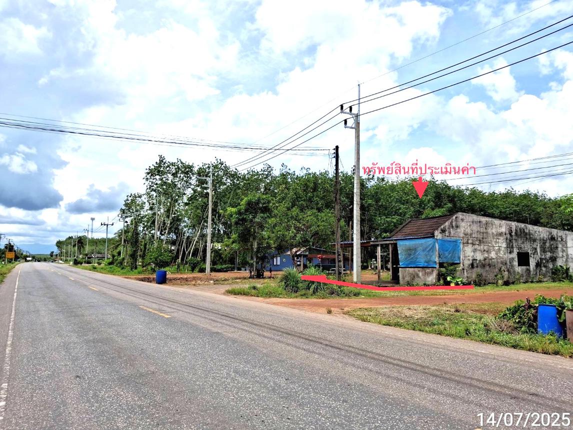 รูป บ้านเดี่ยว สำหรับขาย - บ้านนา ปะเหลียน ตรัง - รูปที่ 10/14