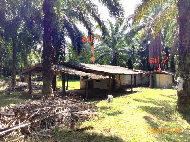 รูป บ้านเดี่ยว สำหรับขาย - วังมะปรางเหนือ วังวิเศษ ตรัง - รูปที่ 14/36